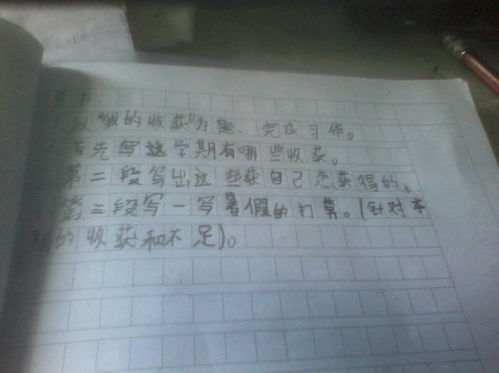 校园会作文200字左右