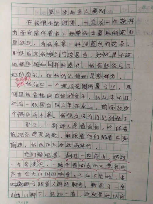 精彩校园廉洁我心小学生作文