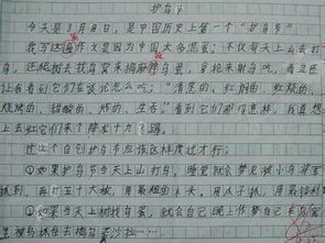 关于校园环保的作文400字