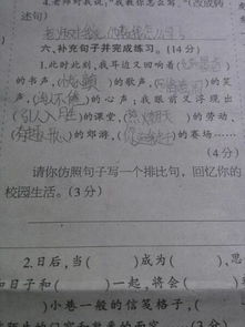 回想你的校园生活作文100字