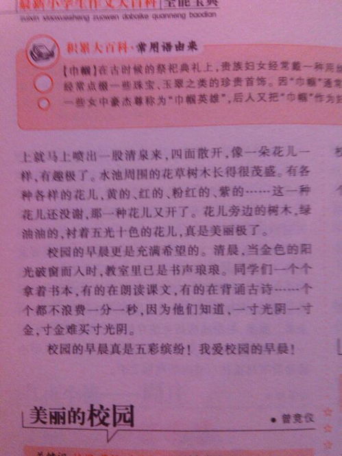 第一次进校园作文500字作文,第一次走进初中校园作文500字,第一次来校园的感受作文500字