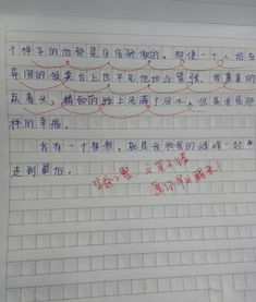 告白校园的作文教师版