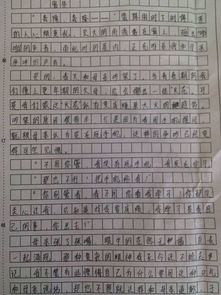 窗外的校园作文初中500字