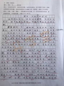 我的校园作文10000字