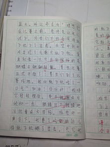 难忘的一件事在校园里难忘的一件事作文,校园里难忘的一件事作文600字,校园里难忘的一件事作文350字三年级作文