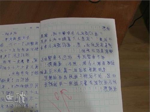 校园摆摊儿100字作文