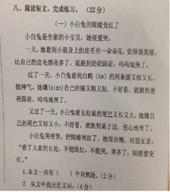三年级上册校园一角的作文,八年级上册校园一角作文,七年级上册校园一角作文