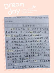 作文,六级,校园内,活动