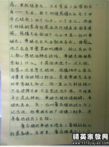 作文《校园活动300字》