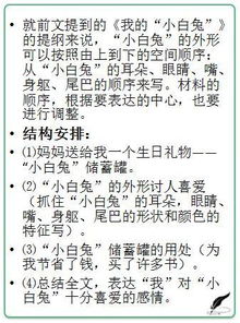 我的校园小学作文提纲