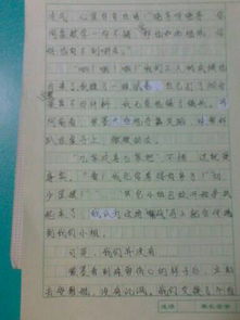 中职校园生活作文500字,校园生活作文400字小学,快乐的校园生活400字作文