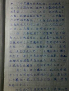 校园中最令人感动的事作文800字