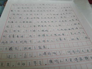 关于校园的好的题目的作文800字