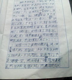 作文,字左右,环保,校园