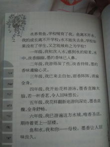 校园里最有趣的地方作文600字,校园里最有趣的地方作文500字,校园里最有趣的地方作文300字