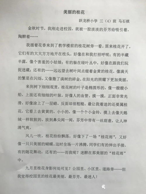 与校园共成长的作文