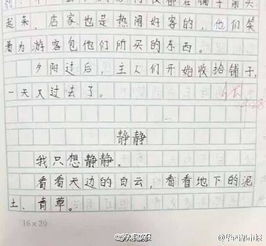 美丽的校园嘉兴市实验小学作文