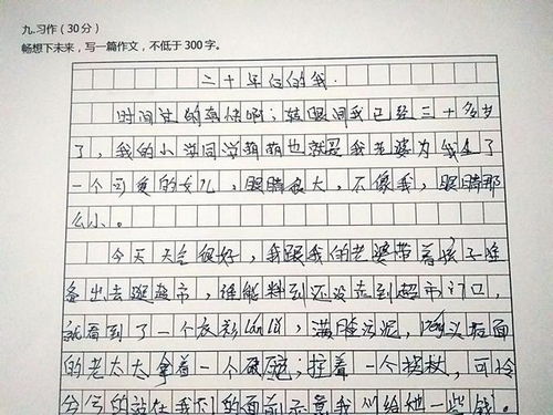 二十后的校园的作文400字