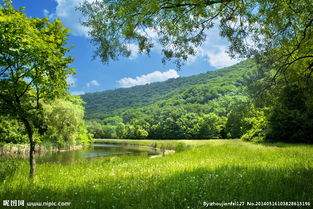 校园环境题目的作文600字