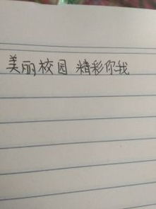 校园之外的精彩的作文