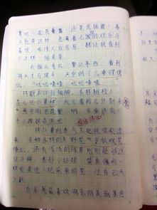 赞美美丽校园作文200字