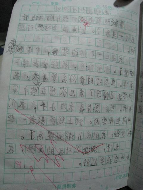 校园体育活动作文300字作文怎么写