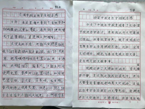 消防安全进校园作文400字