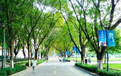 小学作文校园的花圃