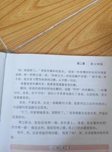 校园里感动的一件事500字作文大全