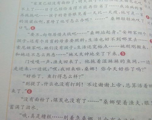 校园的难忘的事500字作文