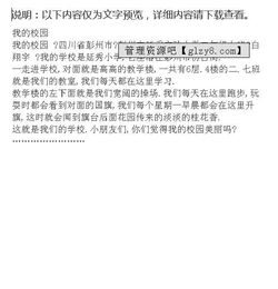 难忘的校园活动二级作文