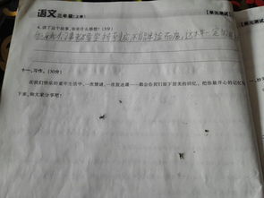 三级作文我的校园150个字