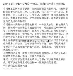 校园一角的作文怎么写300字三年级,校园一角作文300字小学生三年级,校园一角作文300字大全