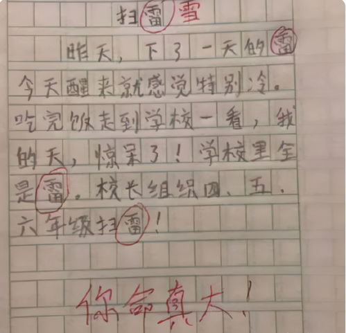 小学生作文350我的校园