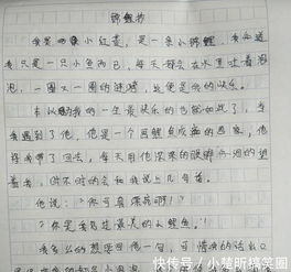 小学作文秋天的校园,小学三年级作文校园的一角,小学三年级作文我的校园