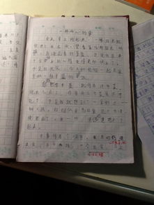 我们的二小校园作文700字