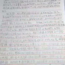 校园素养作文1000字