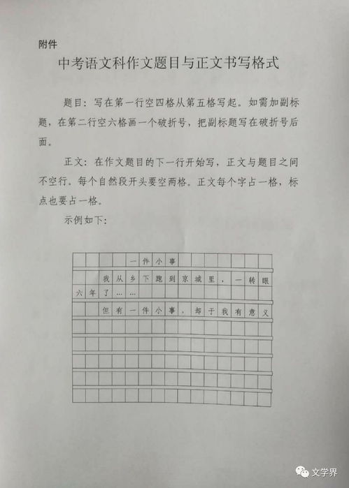 作文,中考,校园