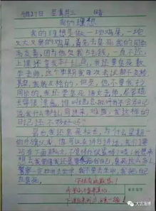 作文,我的理想,校园