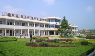 秋季的校园真美作文