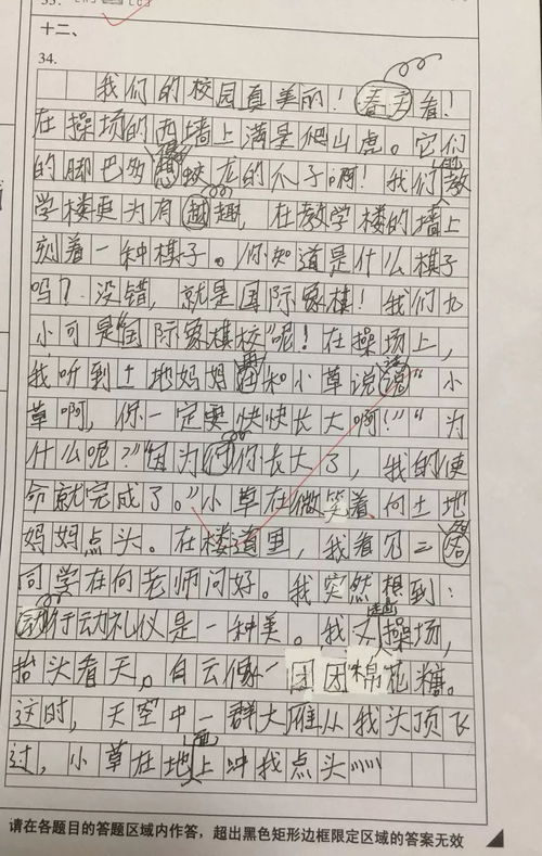 小学三年级作文我们的校园,我们的校园三年级上册作文,我们的校园作文300字三年级作文怎么写