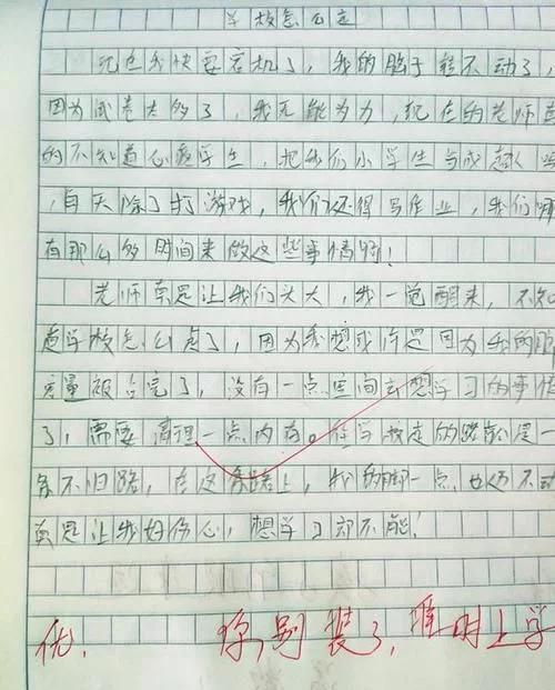 校园建设小学生作文