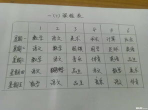 介绍校园作文青园小学