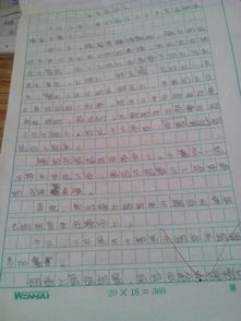 校园运动会作文400字六级作文600字