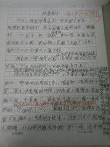 300字校园一角作文三级作文怎么写