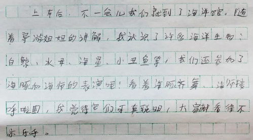 校园那一米阳光作文600字