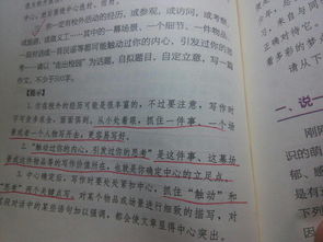 走进中学校园作文600字,走进中学校园作文500字,走进九月的中学校园作文