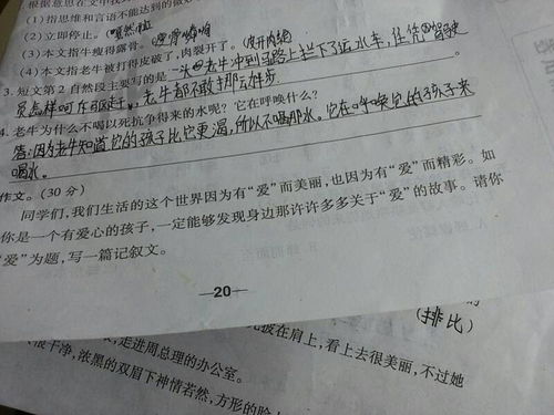 以校园访友为题目的作文