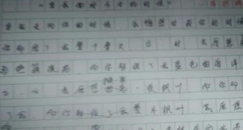 描写校园走廊的作文650字