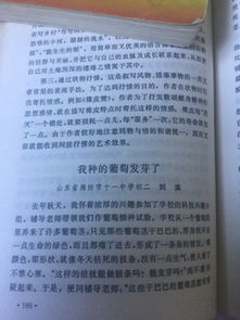 校园爱情利与弊作文1000字